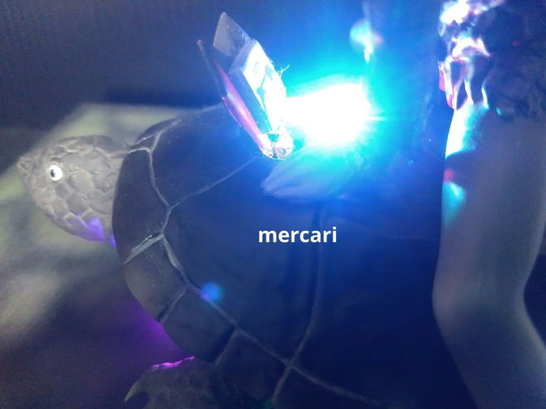 育てよカメ　ウルトラＱ