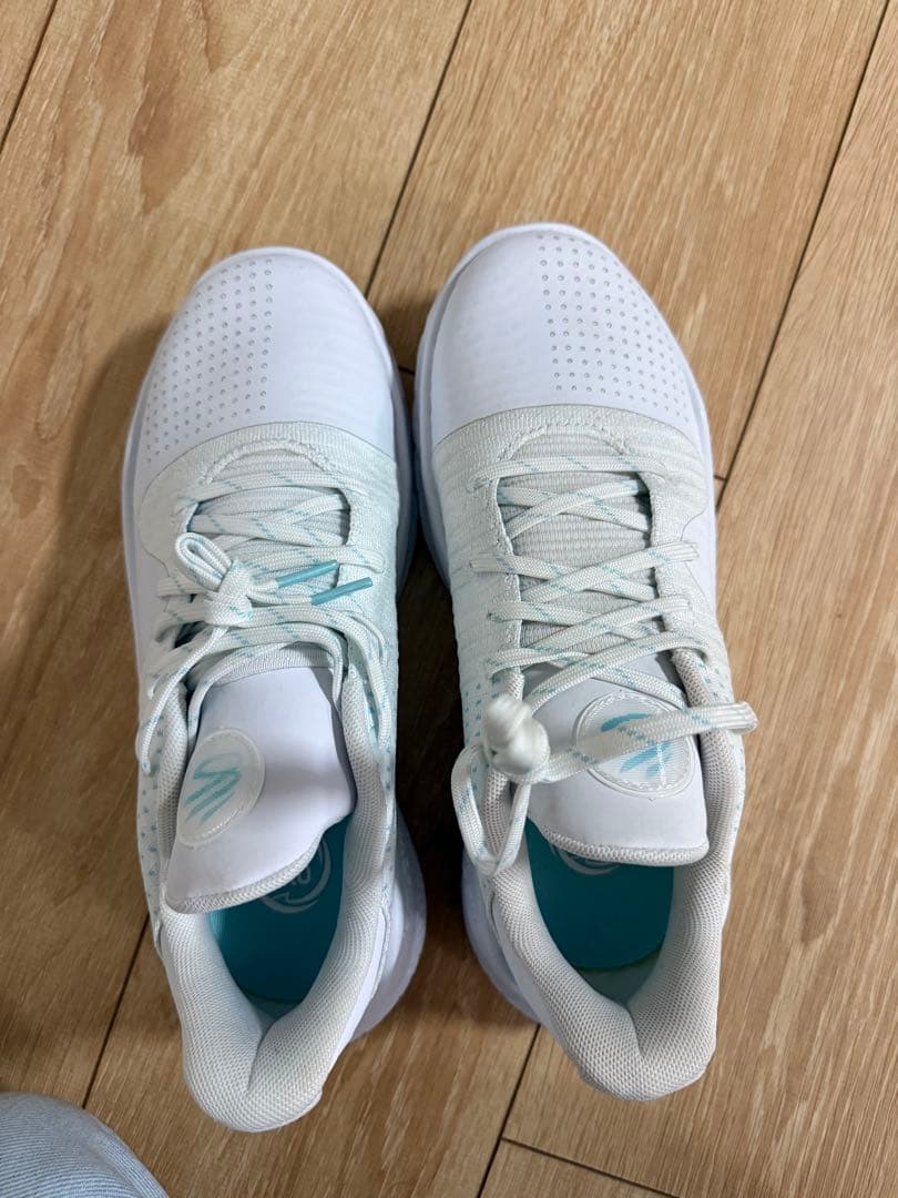 廃盤 Under Armour CURRY4 Low Flotroカリー NBA
