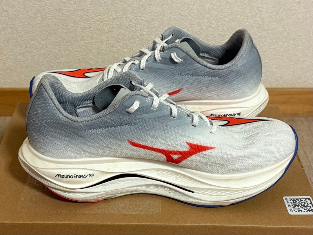 MIZUNO／WAVE REBELLION FLASH 3 （28.5cm）