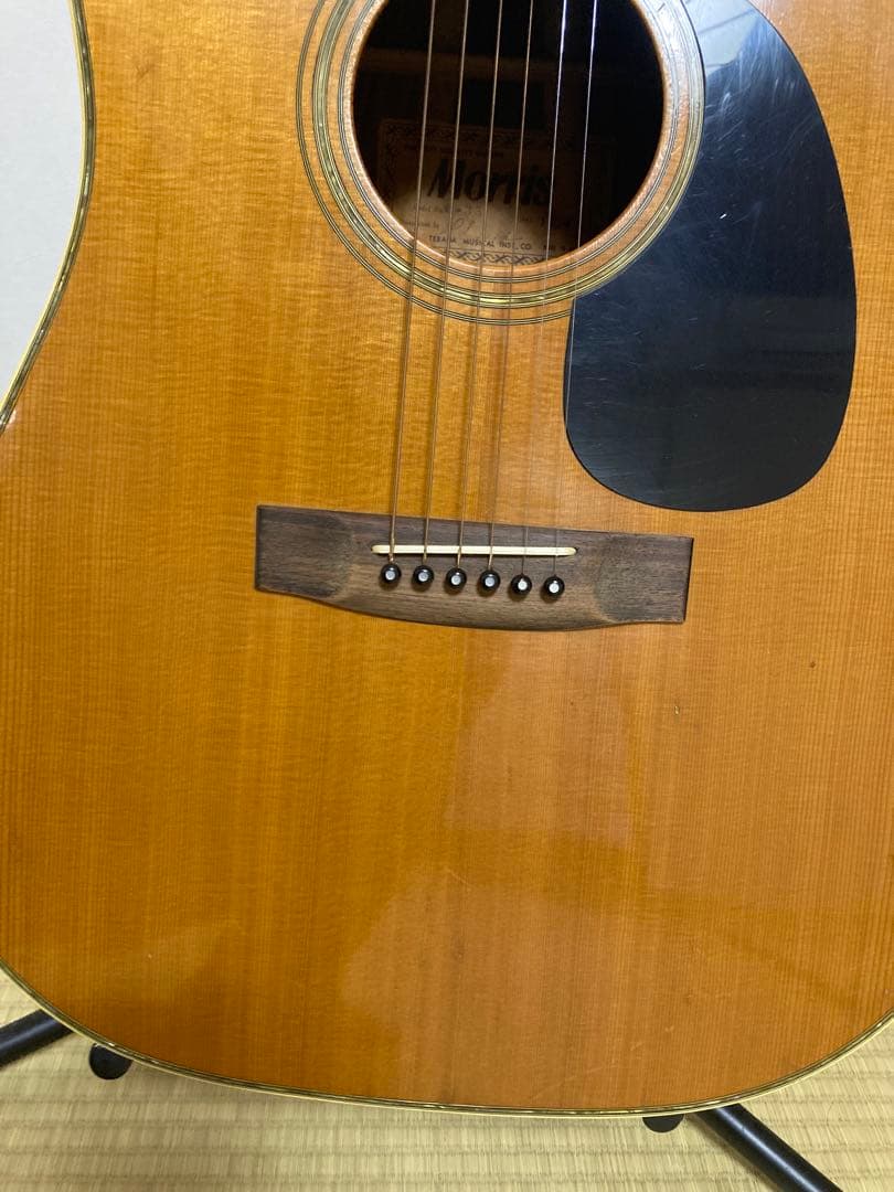 Morris アコースティックギターW-35