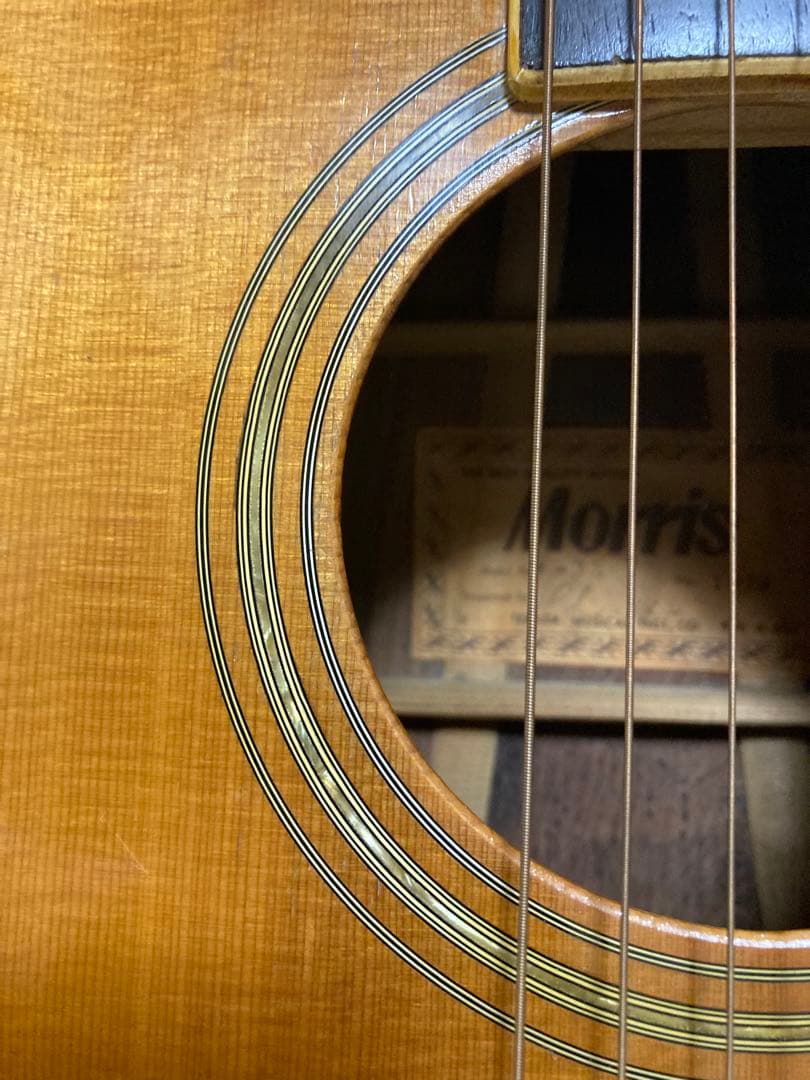 Morris アコースティックギターW-35
