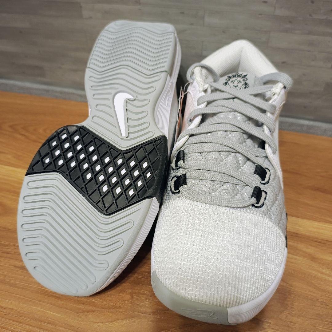 未使用品 NIKEナイキ レブロンWITNESS 25.5cm バッシュ