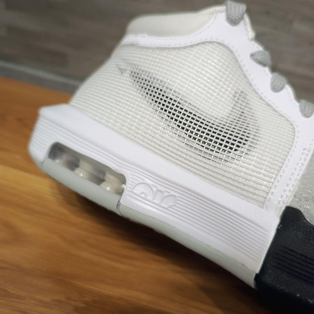 未使用品 NIKEナイキ レブロンWITNESS 25.5cm バッシュ