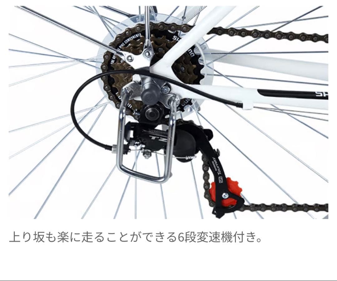 cyma CHRYS ブルーグリーン