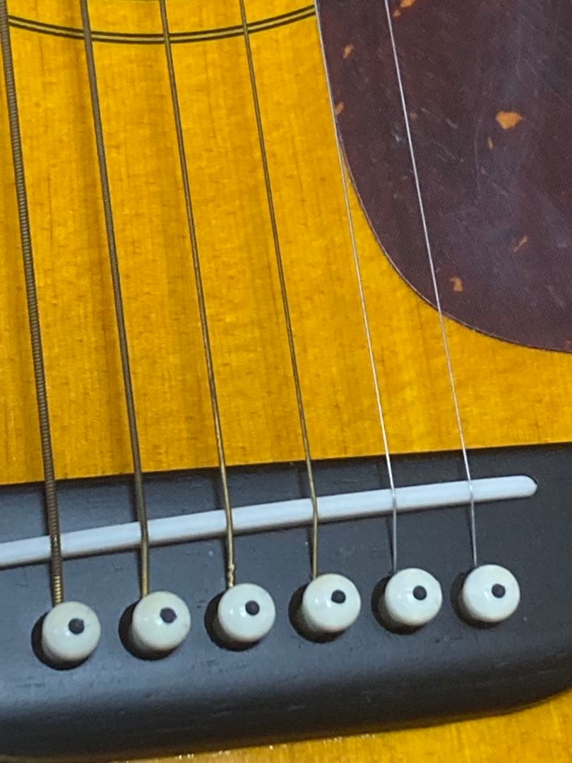 W) Morris MF-256CS アコースティックギター