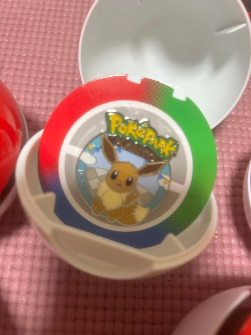 ポケパーク カントー 限定 ピカチュウ イーブイ ピンズセット