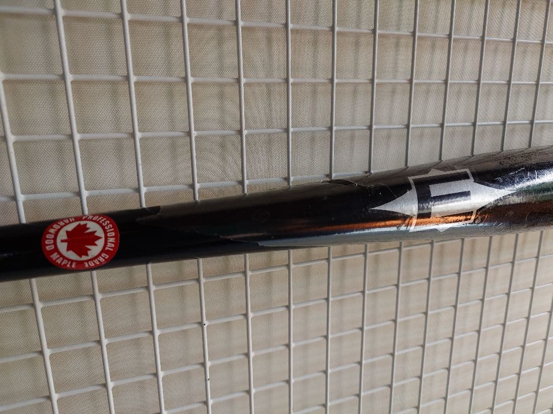 EASTON MAPLE 243 硬式 木製バット 34インチ 未使用