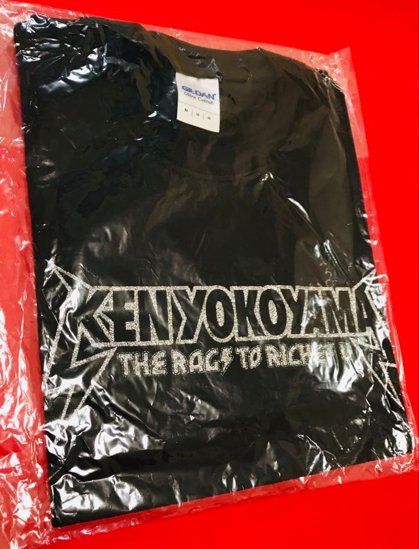 新品 KEN YOKOYAMA 横山 健『RagsツアーⅤ』銀ラメTシャツM