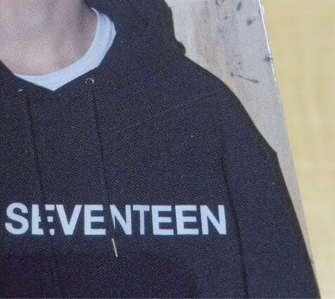 ❶ SEVENTEEN CARAT LAND 2022 トレカ 59枚
