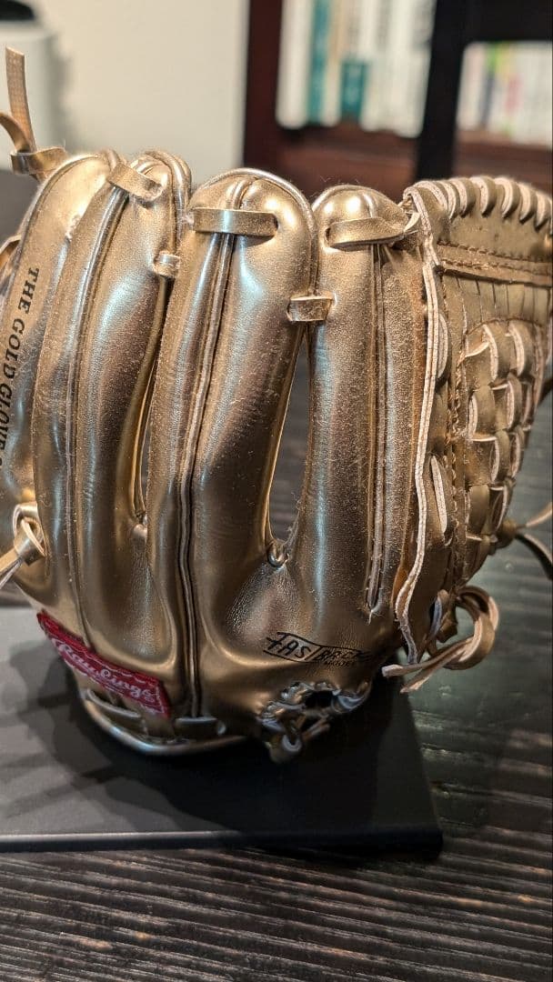 Rawling社製　Gold Glove Awards