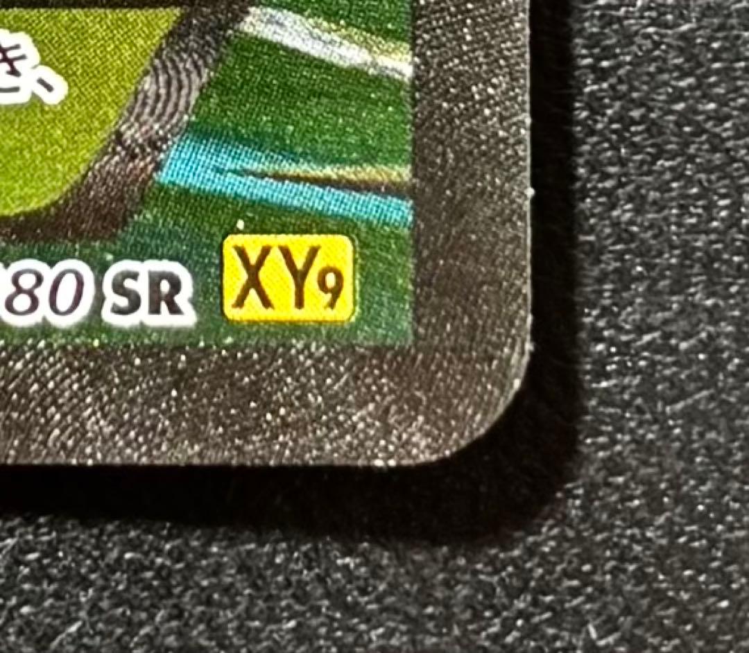 【傷・汚れ有り】ハッサムEX SR XY9 破天の怒り 086/080