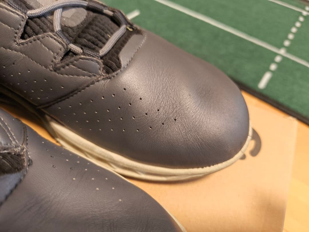 ECCO GOLF バイオム C4 ゴアテックスゴルフシューズ
