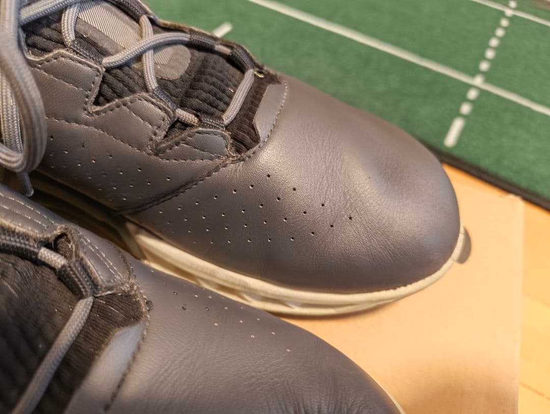 ECCO GOLF バイオム C4 ゴアテックスゴルフシューズ