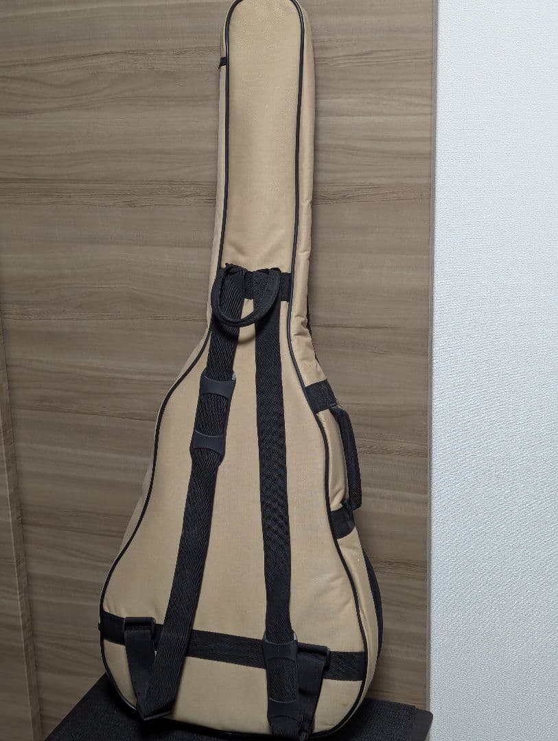 Art & Lutherie Ami Spruce トップ単板 パーラーギター