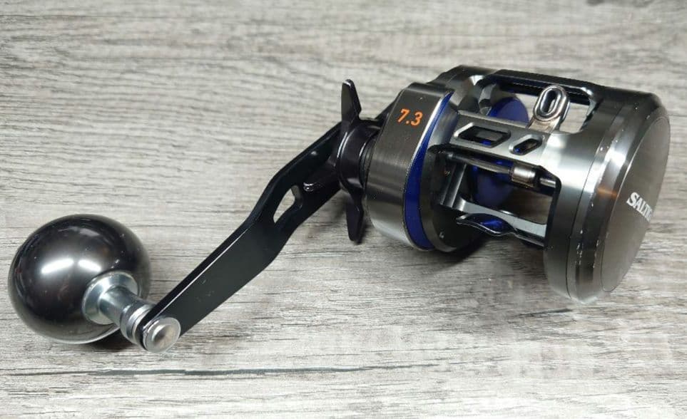 DAIWA ダイワ SALTIGA ソルティガ BJ200SH