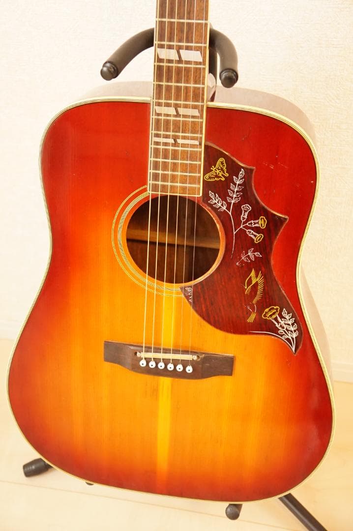 Pearl アコギ ハミングバード HUMMING BIRD 林楽器