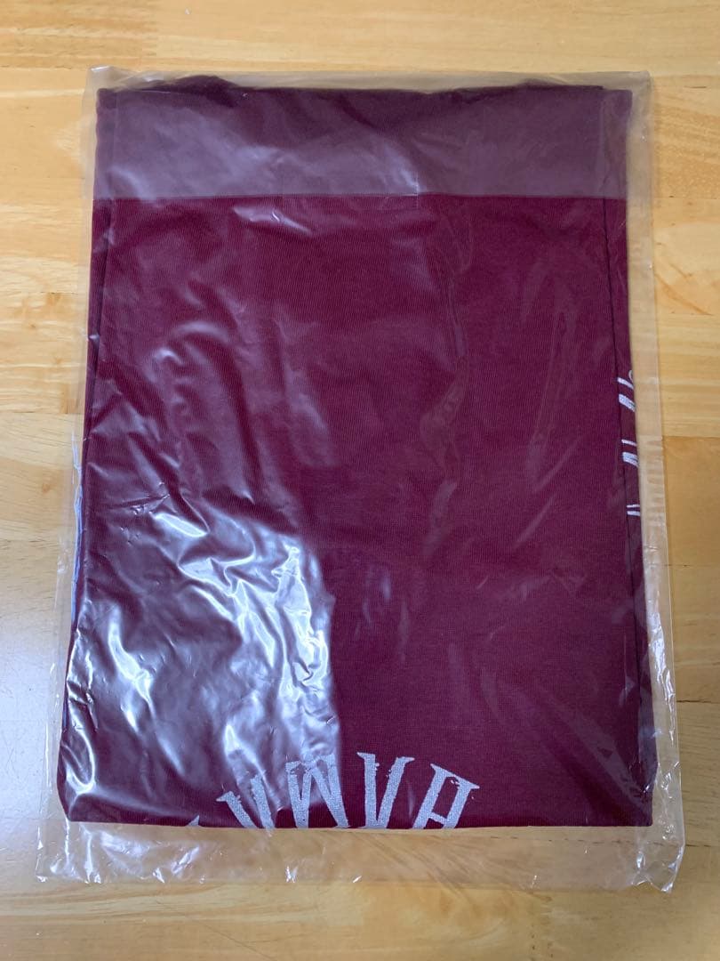浜田麻里 35th Anniversary Tシャツ Mサイズ 未開封品