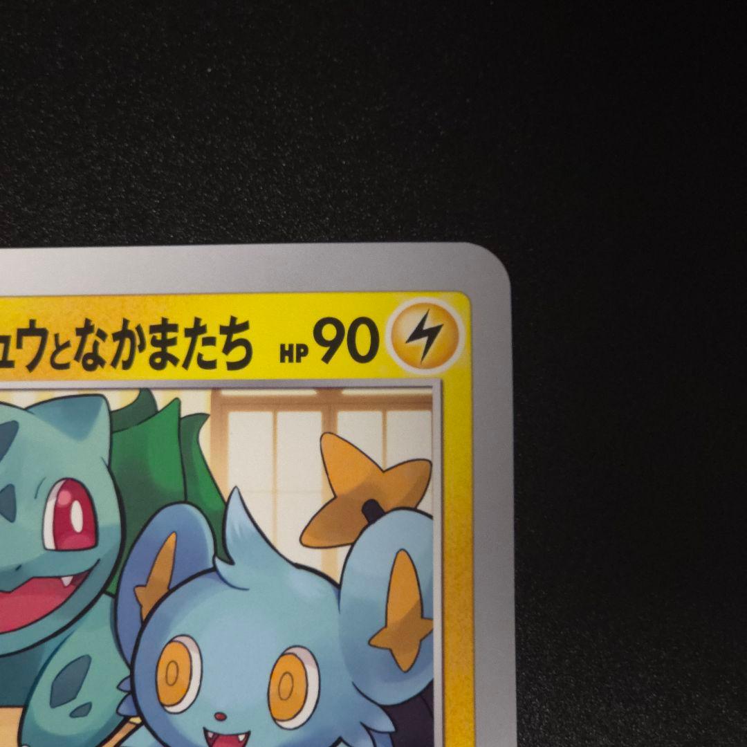 ポケカ ポケるんTVのピカチュウとなかまたち ジャンボカード ポケモンカード①