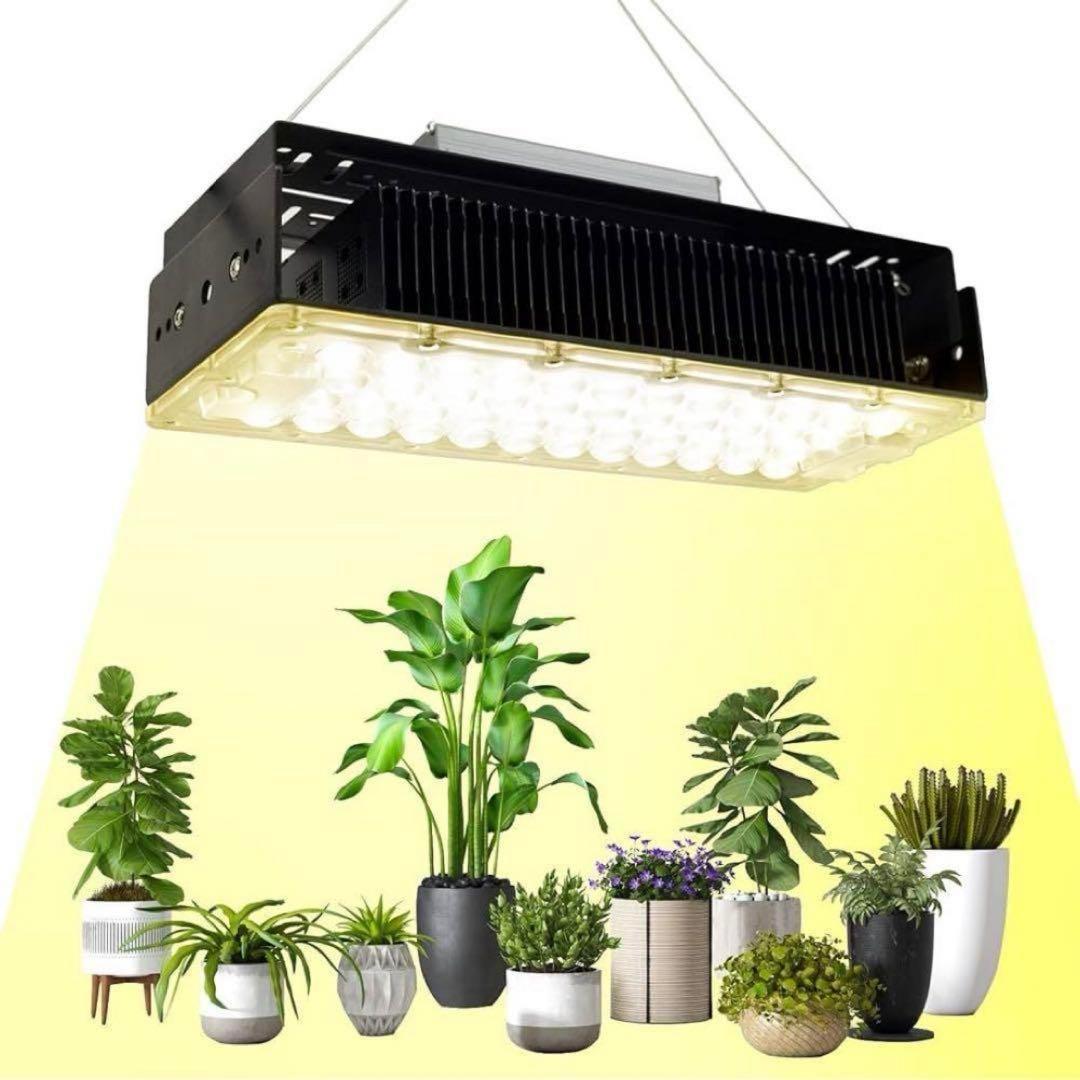 植物育成ライト 2個　フルスペクトル 取付簡単 吊り下げ　100w 多肉植物