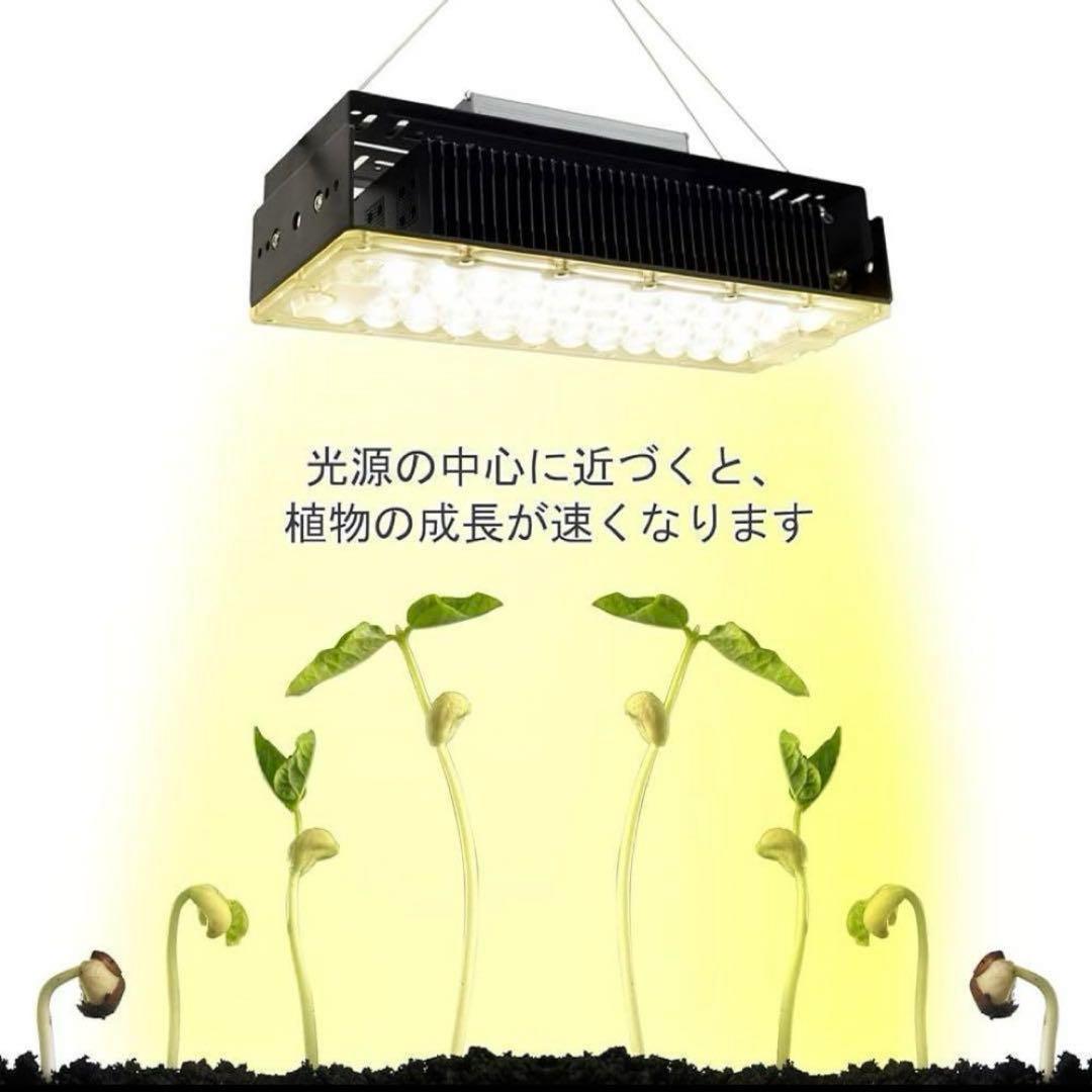 植物育成ライト 2個　フルスペクトル 取付簡単 吊り下げ　100w 多肉植物