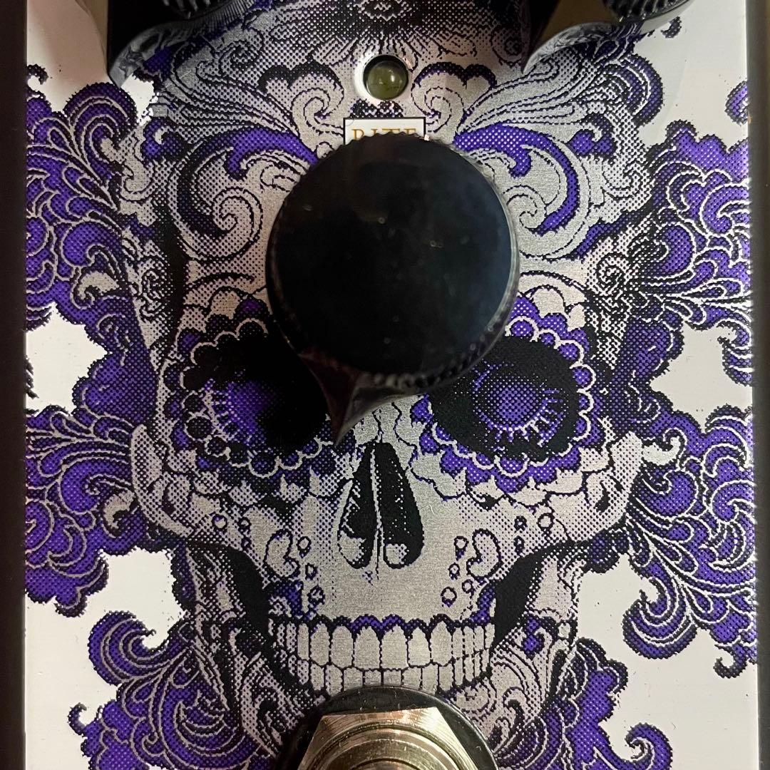 ギター J.Rockett Audio Designs El Hombre
