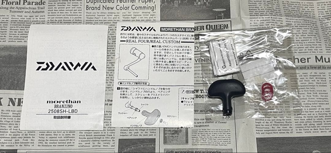 Daiwa morethan BRANZINO 2508SH-LBD ジャンク品