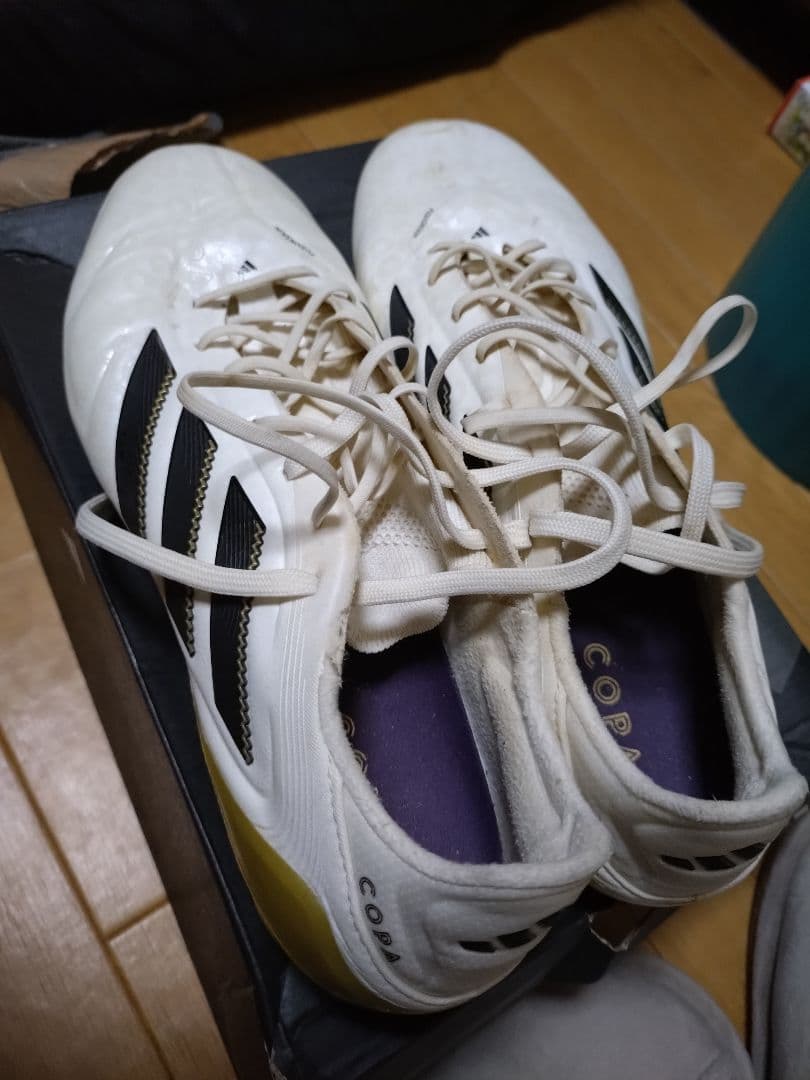 COPA Ⅱ
