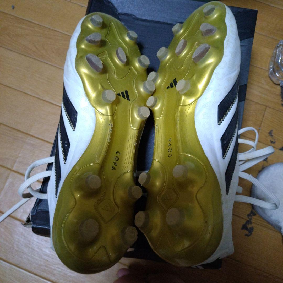 COPA Ⅱ