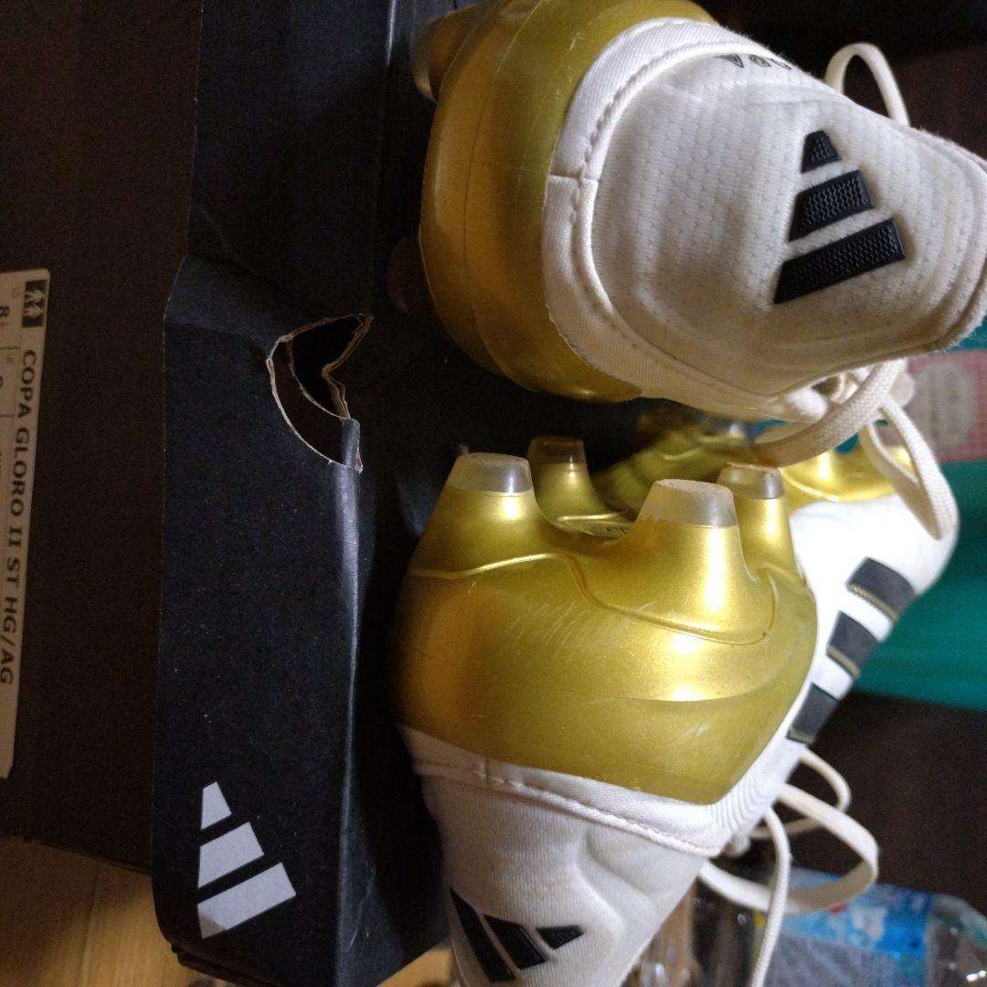 COPA Ⅱ