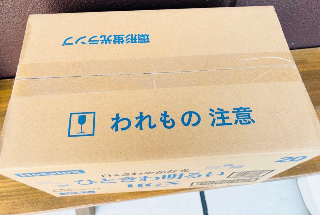 【未使用】ライフルック 10本 HGX FCL20EX-D/18-X 昼光色