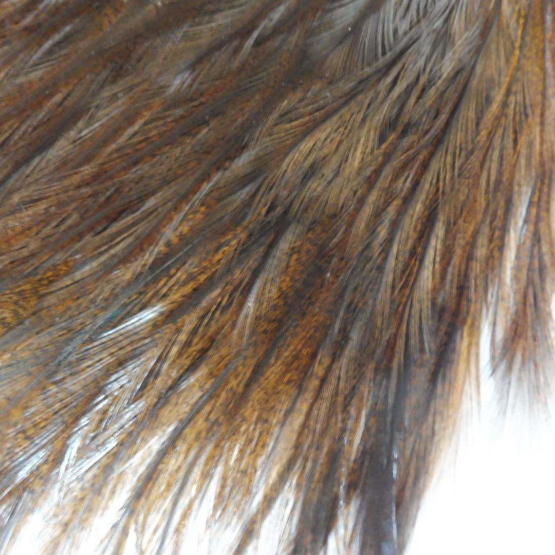 コックデレオン Whiting Badger dyed Brown