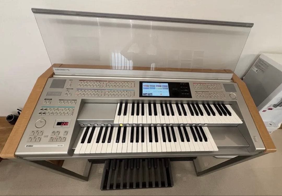 YAMAHA STAGEAカスタム　ELS-01CH バイタライズ済