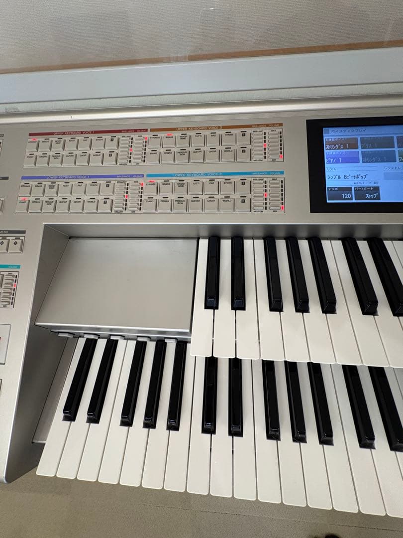 YAMAHA STAGEAカスタム　ELS-01CH バイタライズ済