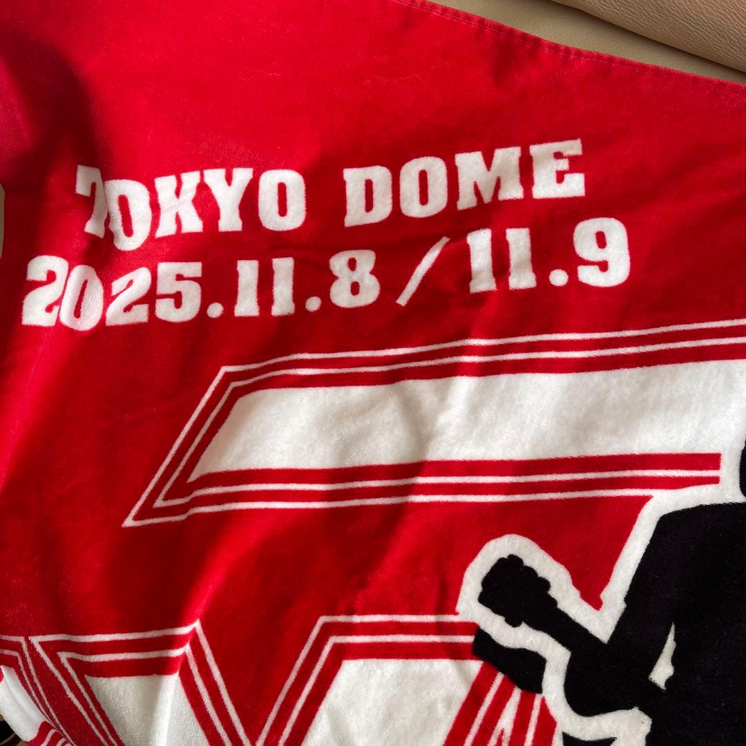 EIKICHI YAZAWA 東京ドームライブタオル　2025