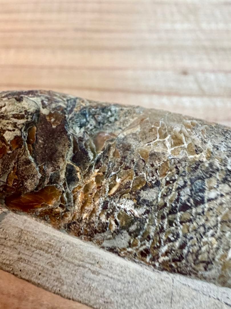 ラコレピス 古代魚 原石 鑑賞石 自然石 天然石 鉱石 鉱物 水石 置物