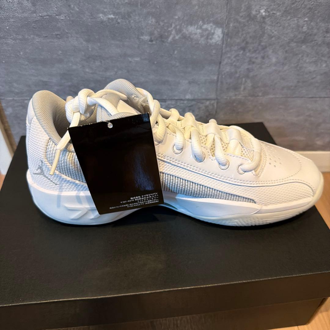 シューズ(男性用) NIKE JORDAN .77 PF