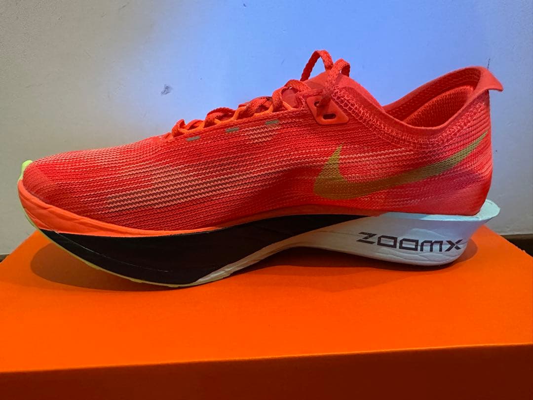 [2月22日限定価格]NIKE ストリークフライ2 24cm