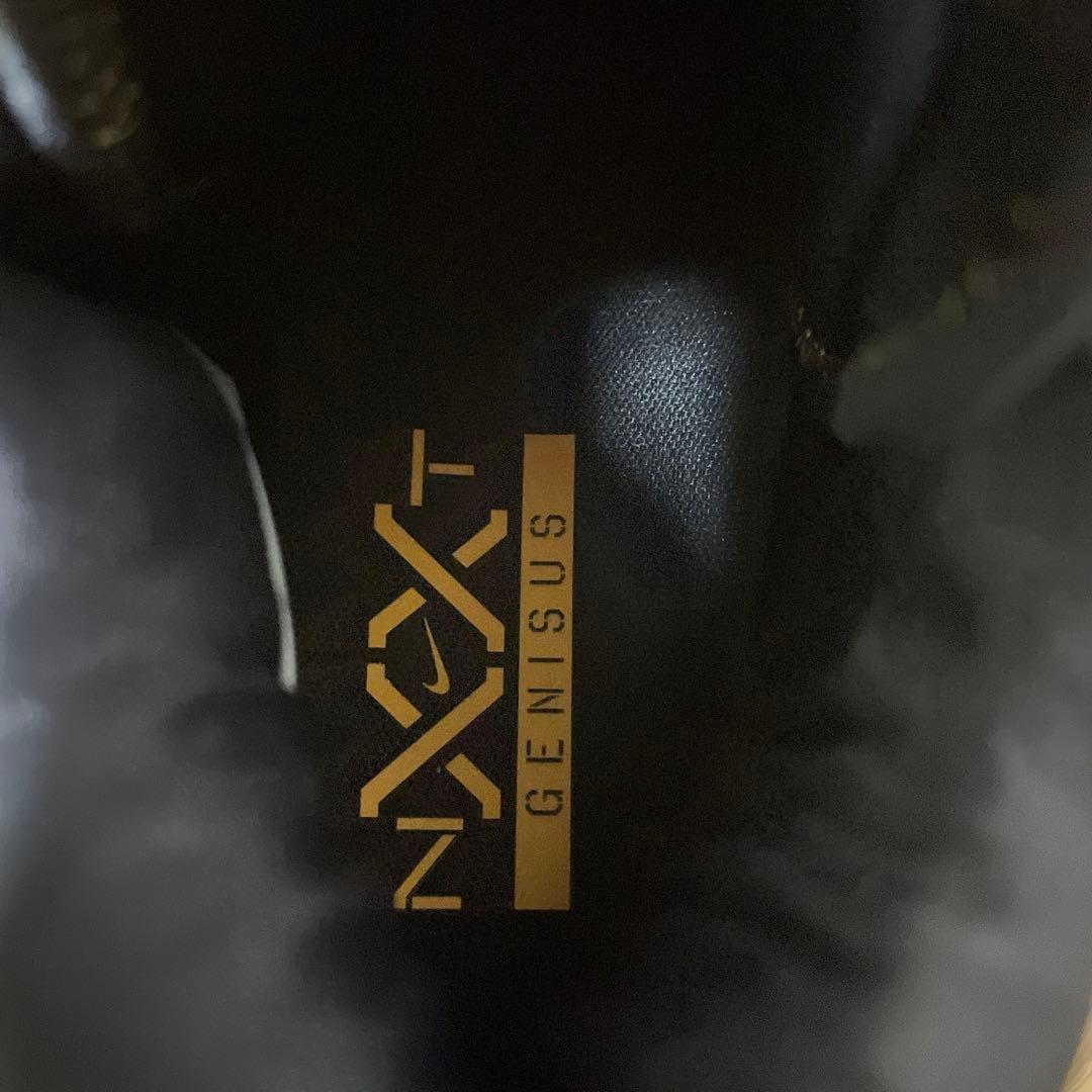 ナイキ 25.5cm LBJ NXXT GENISUS EP バッシュ