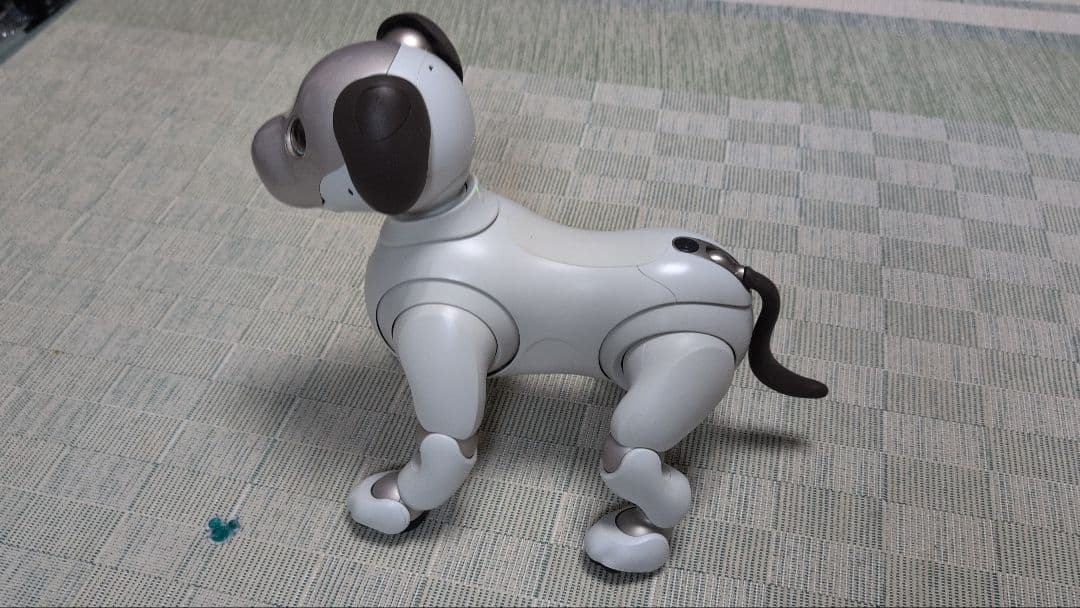 ソニー aibo アイボ ペットロボット 家電 ERS-1000 【中古】
