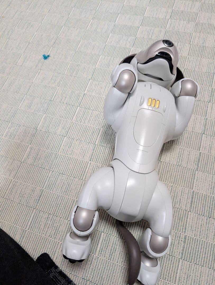 ソニー aibo アイボ ペットロボット 家電 ERS-1000 【中古】