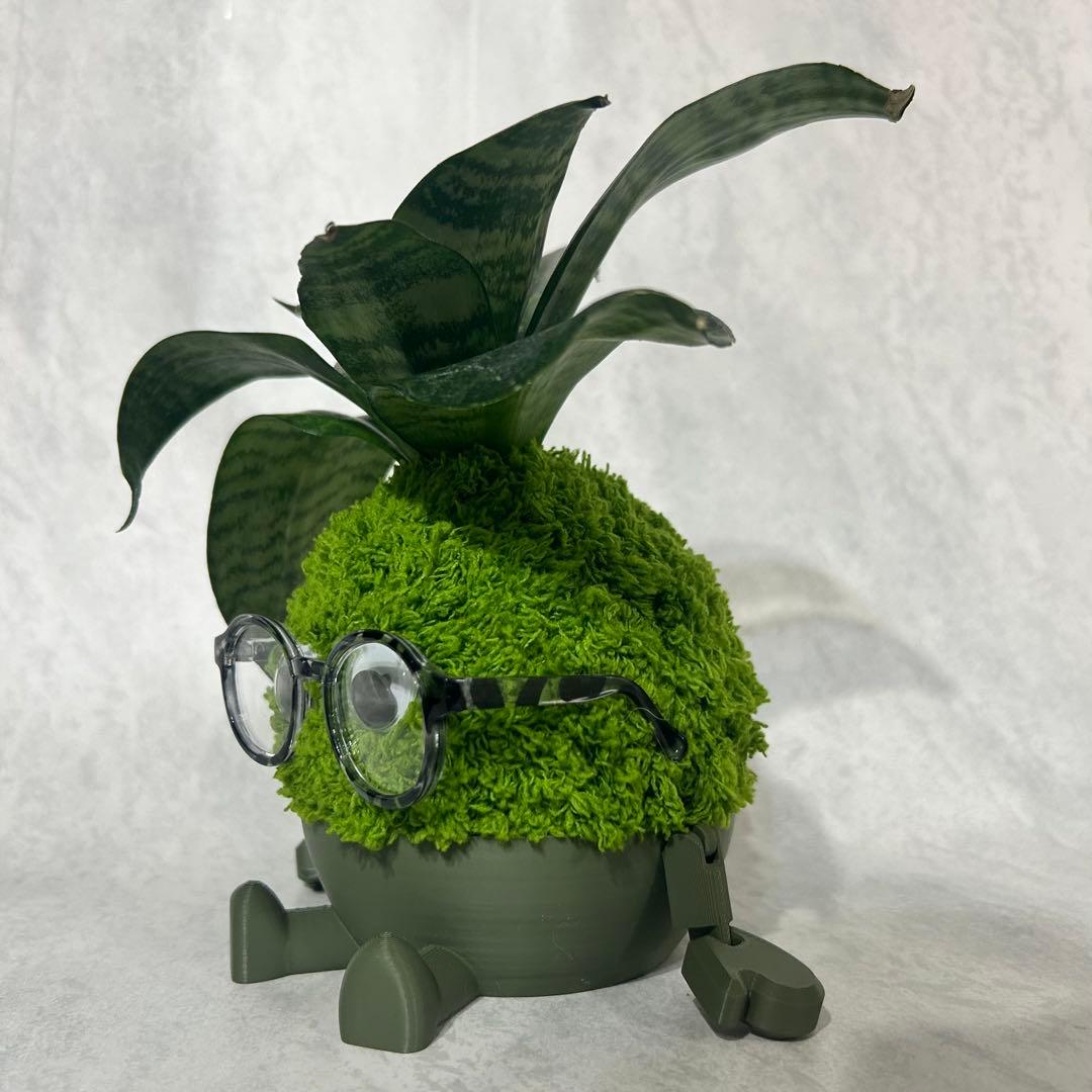 デカモン(オリジナル苔玉モンスター)グリーン