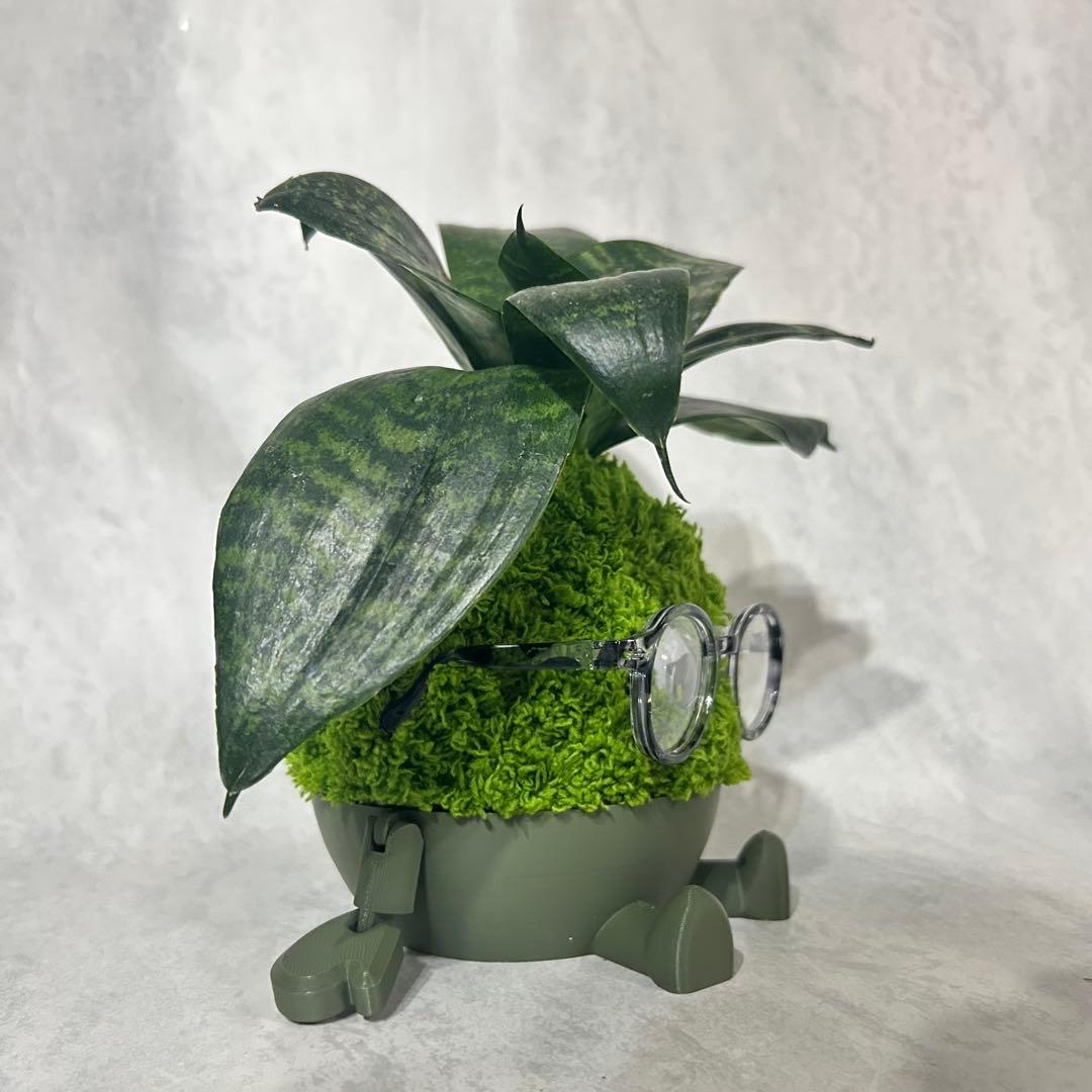 デカモン(オリジナル苔玉モンスター)グリーン