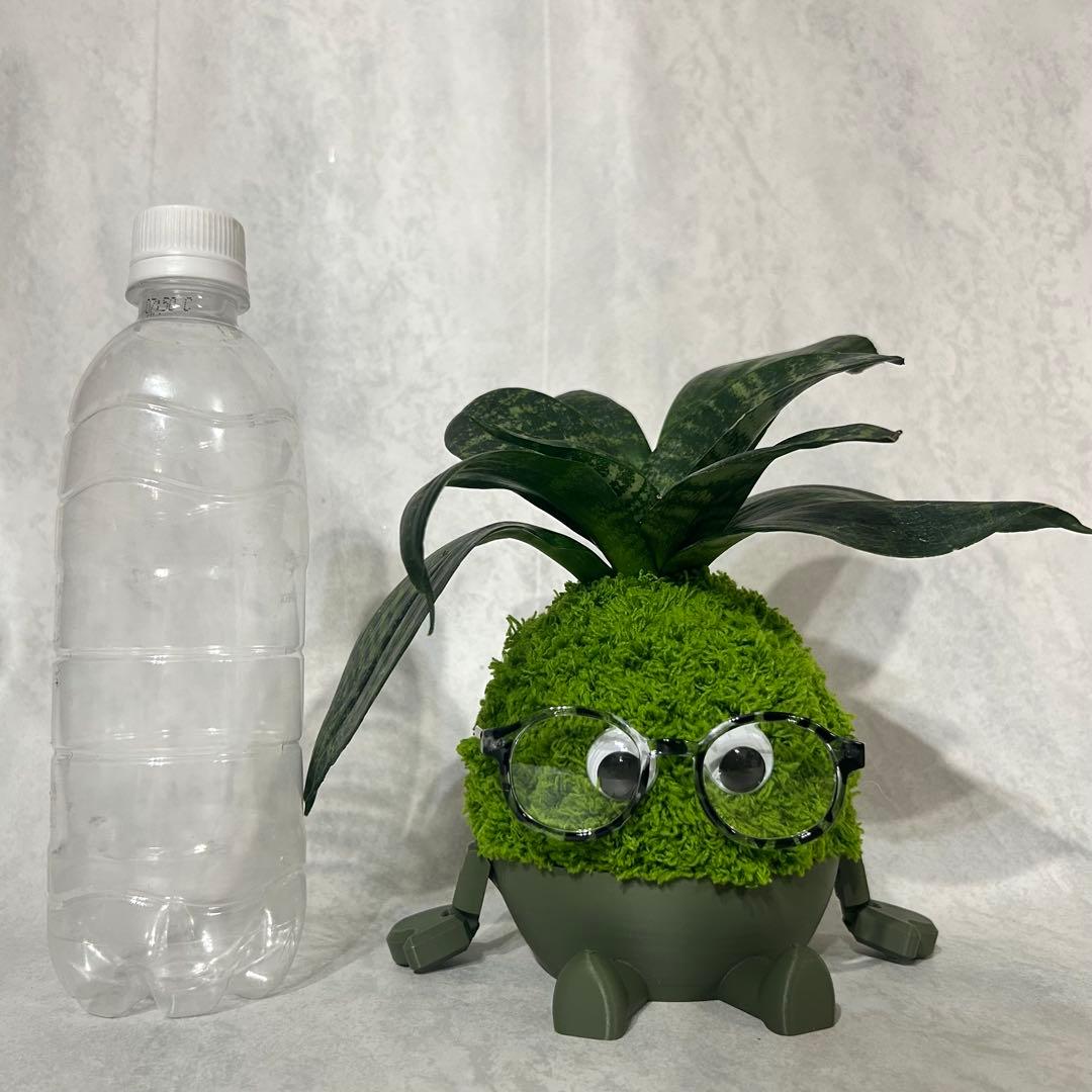デカモン(オリジナル苔玉モンスター)グリーン