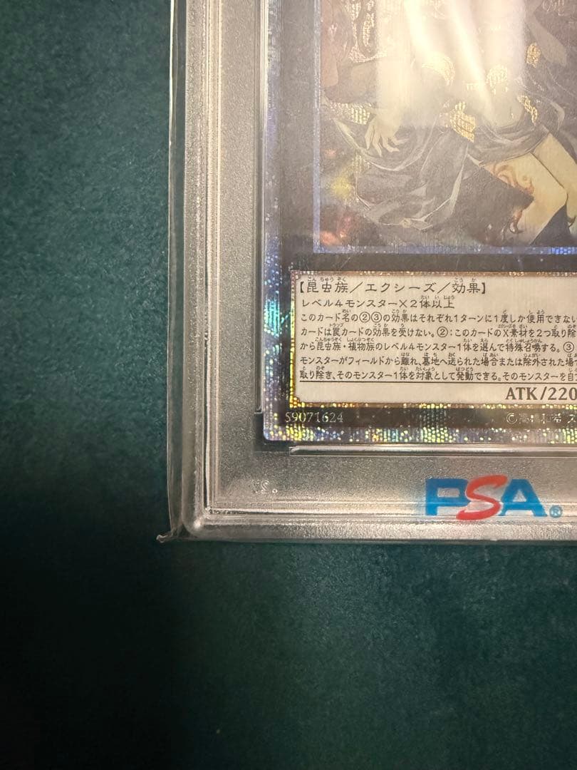 遊戯王　アロメルスの蟲惑魔　20th psa10