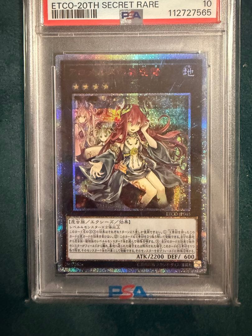 遊戯王　アロメルスの蟲惑魔　20th psa10