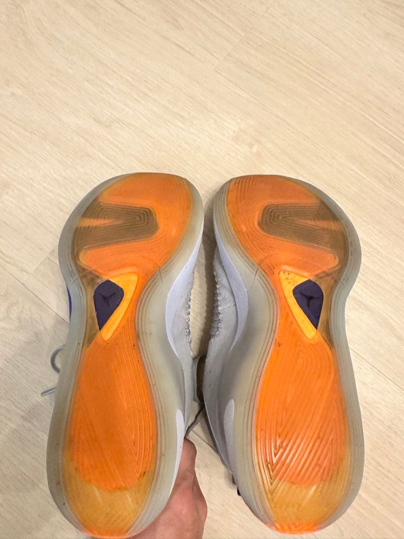 NIKE Jordan ルカ1 next nature PF 25.5cm