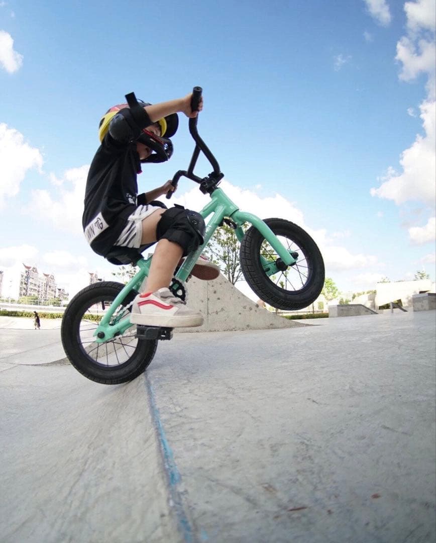 【BMX 12inch】the guy town キッズバイク