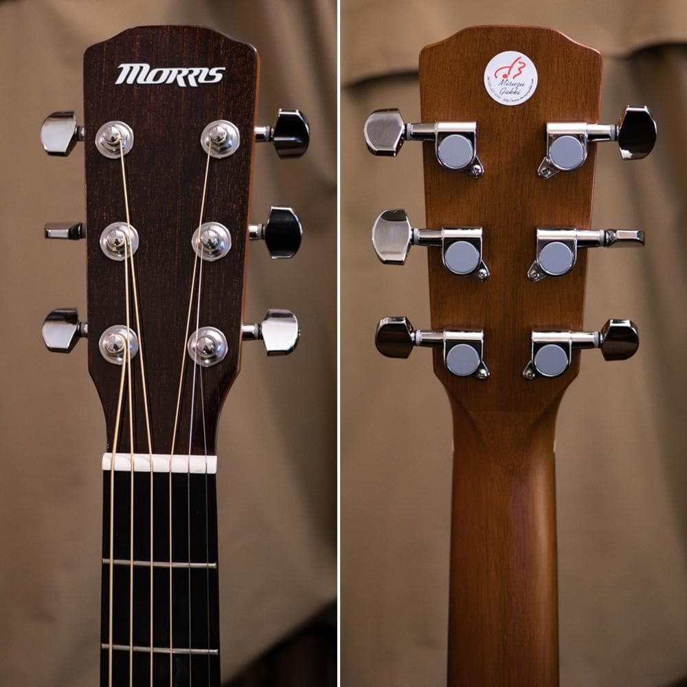 MORRIS F-280TS 2020年 極上