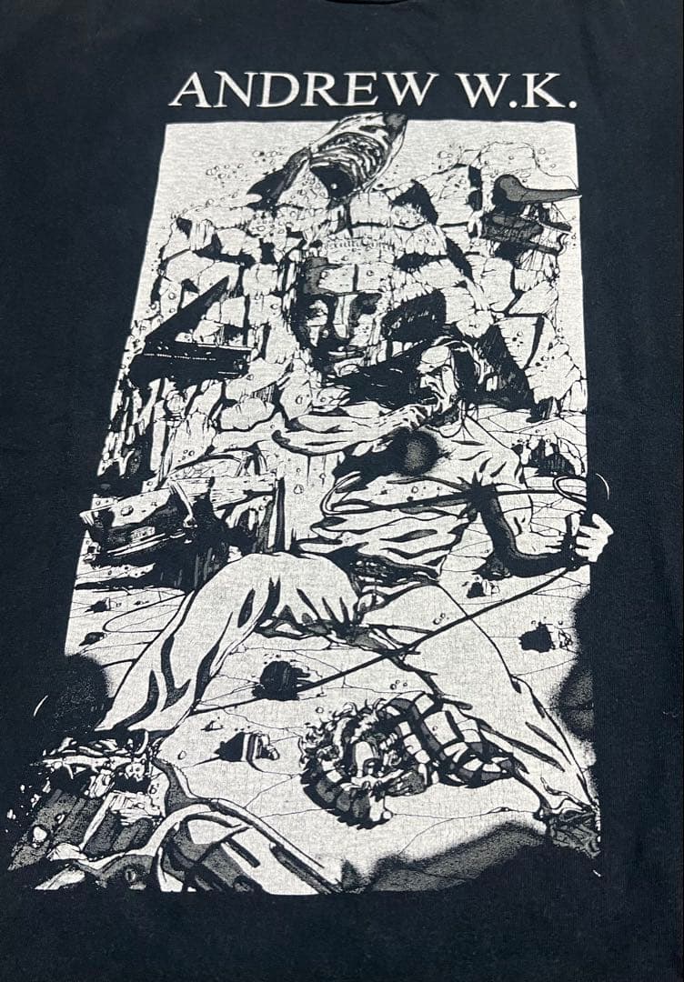 稀少 00s Andrew W.K. Tシャツ Mサイズ バンドT ロックT 黒