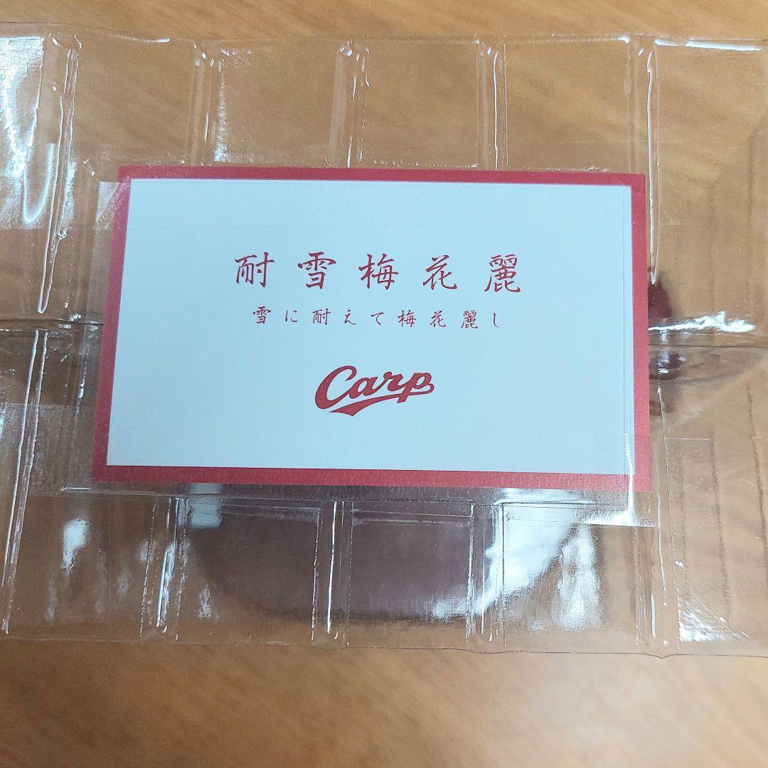 非売品 広島カープ Season Seat 2025限定版 フィギュア 黒田博樹